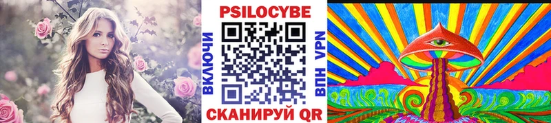 что такое   Кинель  Псилоцибиновые грибы Cubensis 