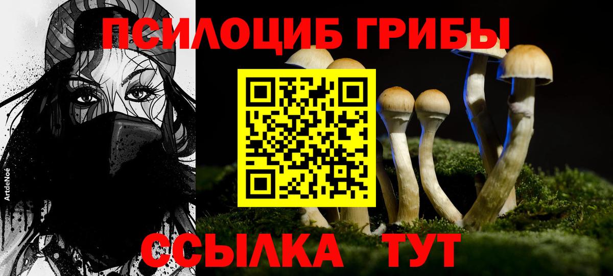 Галлюциногенные грибы прущие грибы  Галлюциногенные грибы Psilocybine cubensis  Кинель  Вход с VPN 