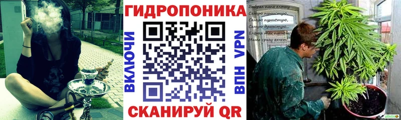 закладка  Кинель  Марихуана семена 